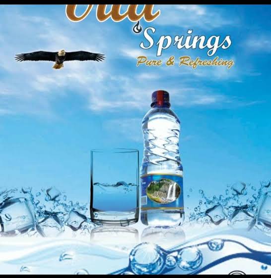 ebff1ffec770f41e8a3faf779c18737b1766771038jpeg